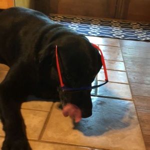 Meet your Posher, Mikaela